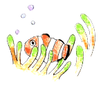 魚