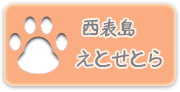 西表島について基本的な概要からレアな情報まで